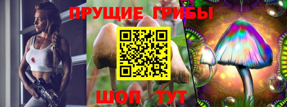 Псилоцибиновые грибы Magic Shrooms Владикавказ