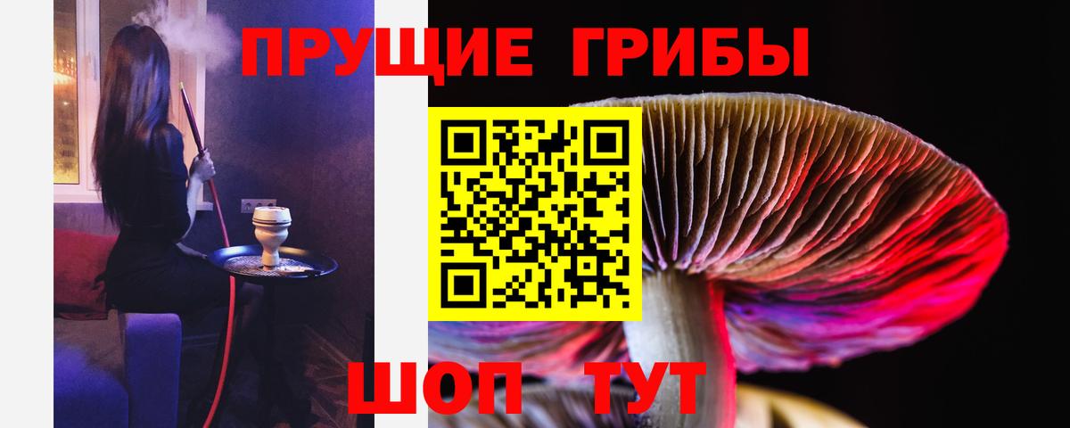 Псилоцибиновые грибы мицелий  Псилоцибиновые грибы ЛСД  Владикавказ  Вход с VPN 